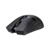 fwebp (1)
