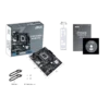 fwebp (5)