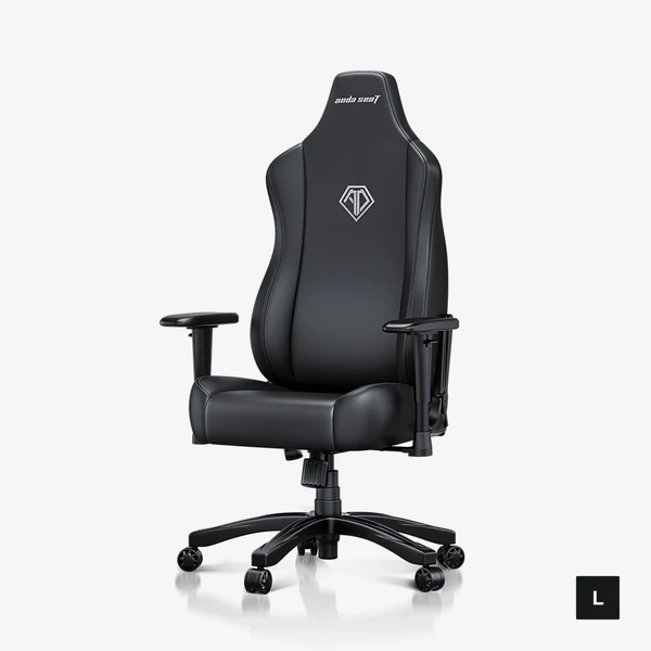 AndaSeat-novis-series-best-burget-gaming-chair-elegant-black-L-size_b3aa3563-69a3-41f7-87f2-ef76ef4c54fb
